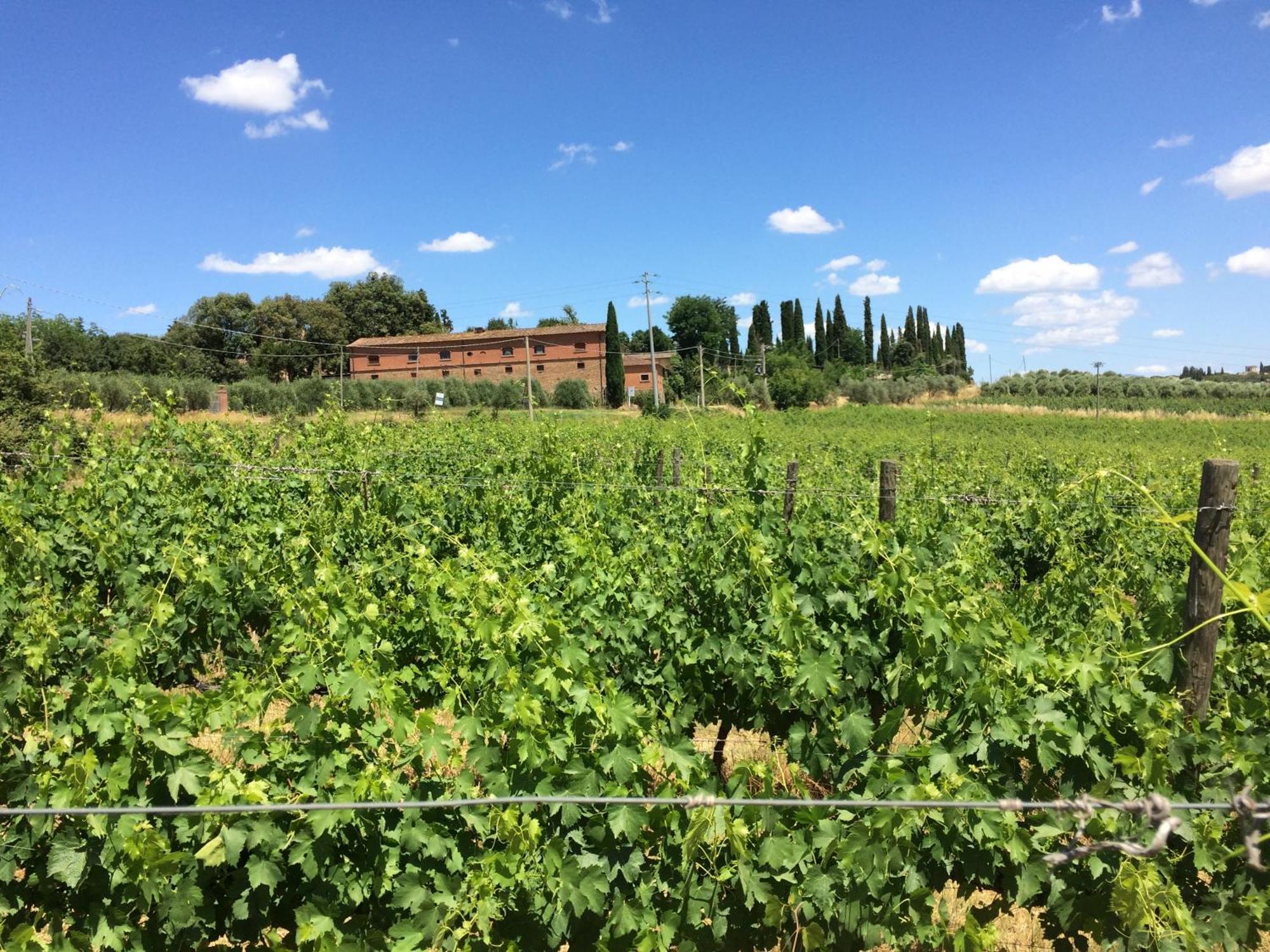 Agriturismo Fattoria Santa Vittoria Pozzo  Zewnętrze zdjęcie